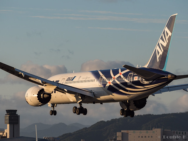 さようなら鯖次郎&鯖塗装 ～ANA B787 ローンチ記念塗装ラストフライト