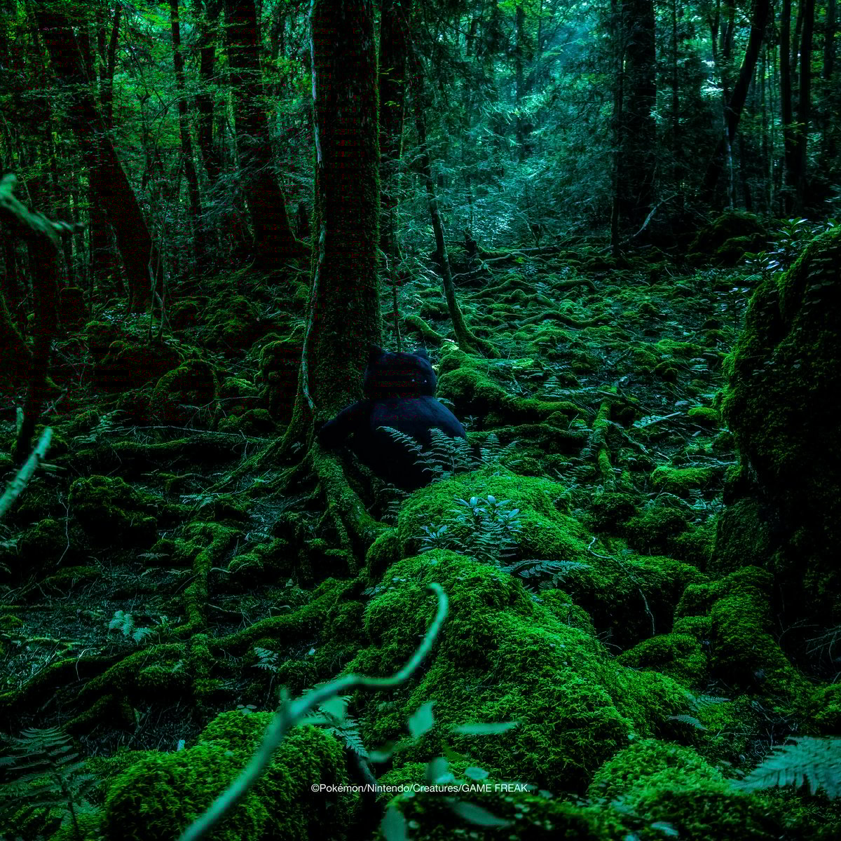 藤原ヒロシ × ポケモン「サンダーボルトプロジェクト」とヘリノックス