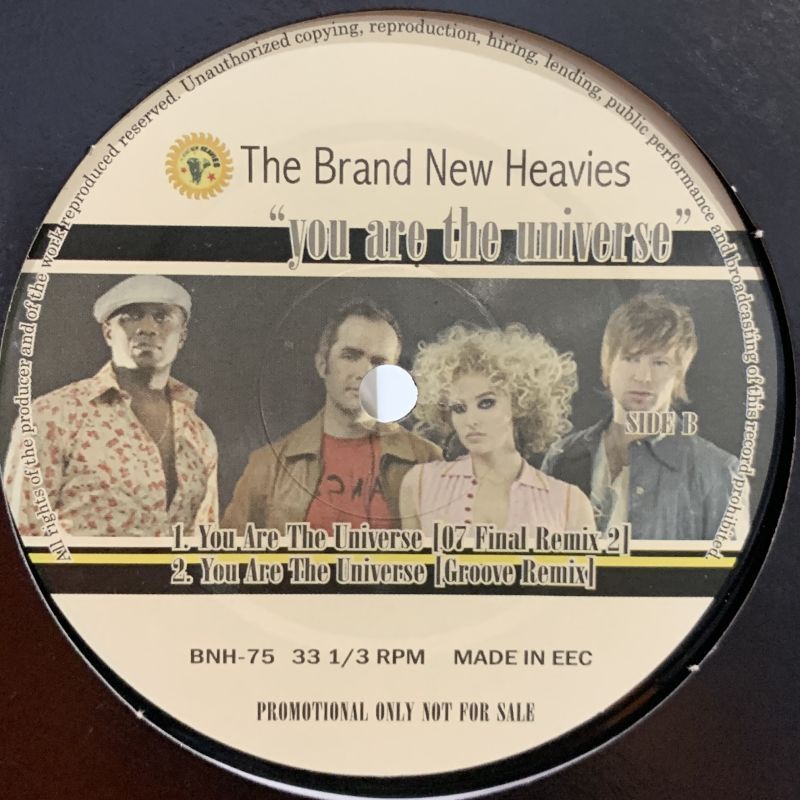 The Brand New Heavies - You Are The Universe (Remixes) (12