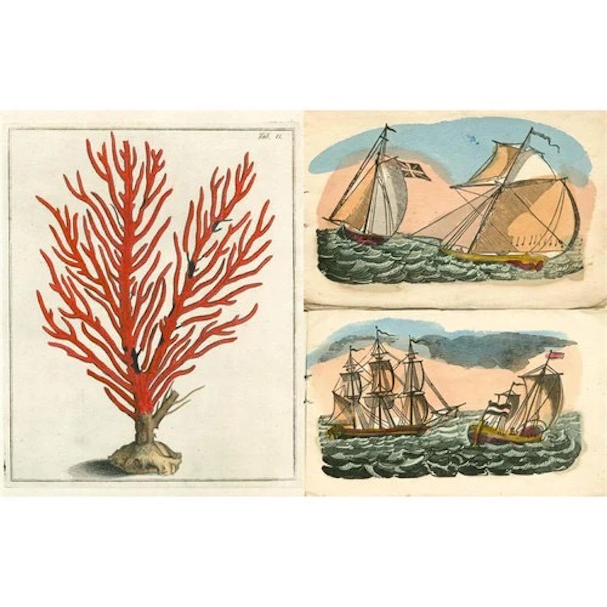 JOHN DERIAN】ピクチャーブック Picture Book II / signed | フィール