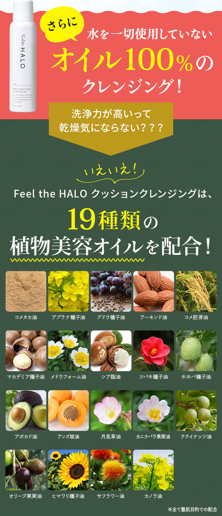 まずはお試し！単品購入】Feel the HALOクッションクレンジング 120g