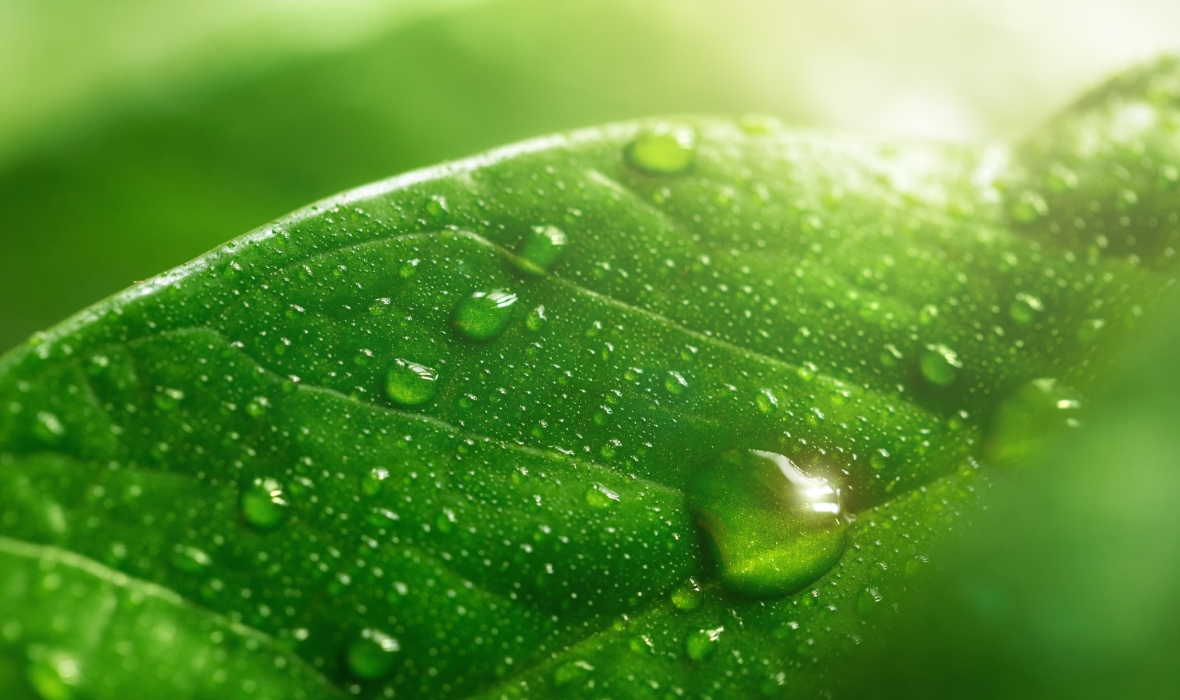 アースボールGreen ｜ MOTEMASCARA（モテマスカラ）FF Green