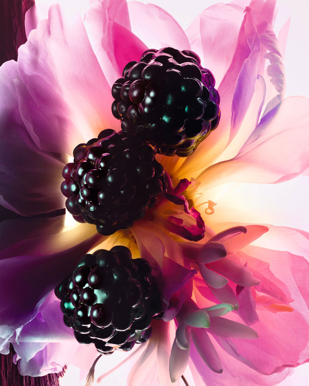 Dior Miss Dior Essence ~ New Fragrances