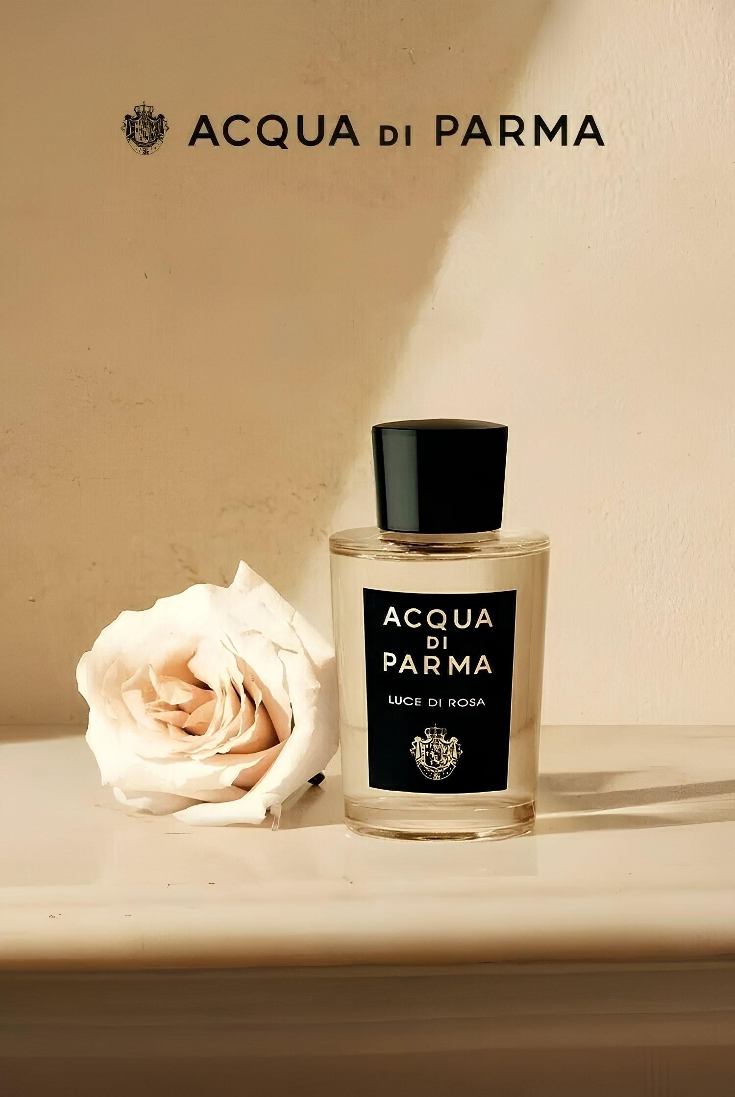 Acqua di Parma: Luce Di Rosa ~ New Fragrances