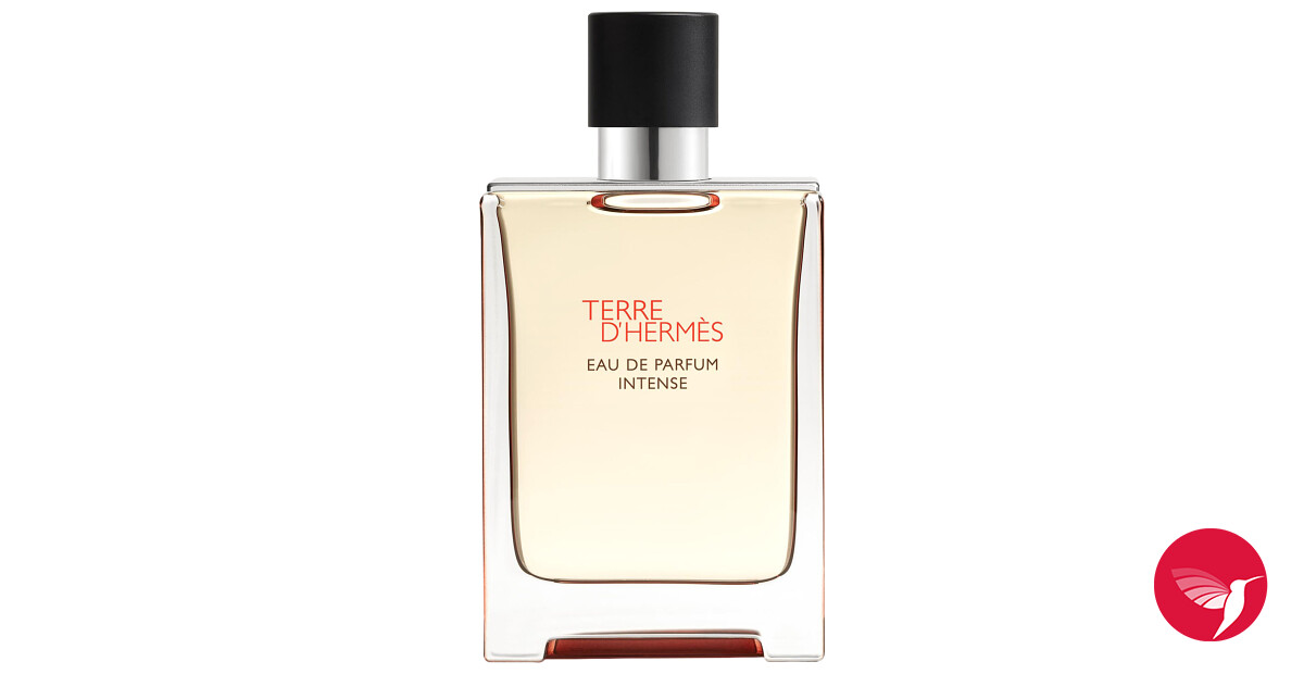 Terre d'Hermès Intense Hermès cologne - a new fragrance for men 2025