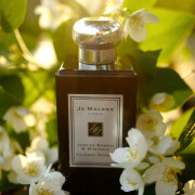 Jasmine Sambac & Marigold Jo Malone London perfume - a fragrance