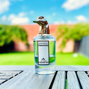 The Impudent Cousin Matthew Penhaligon's cologne - a fragrance for