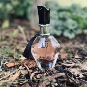 Shagaf Al Ward Al Wataniah perfume - a fragrance for women