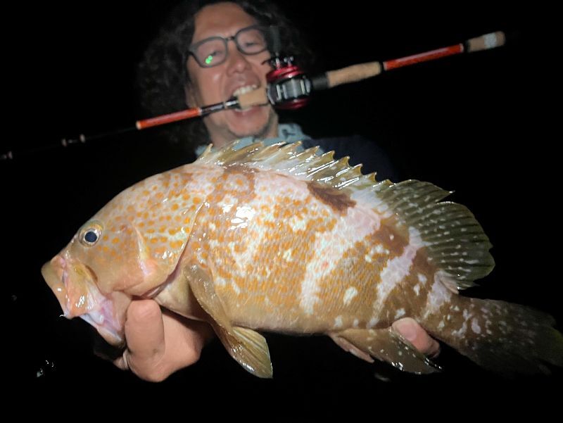 CANARIA COCO77(カナリア ココ77) - Fin‐ch