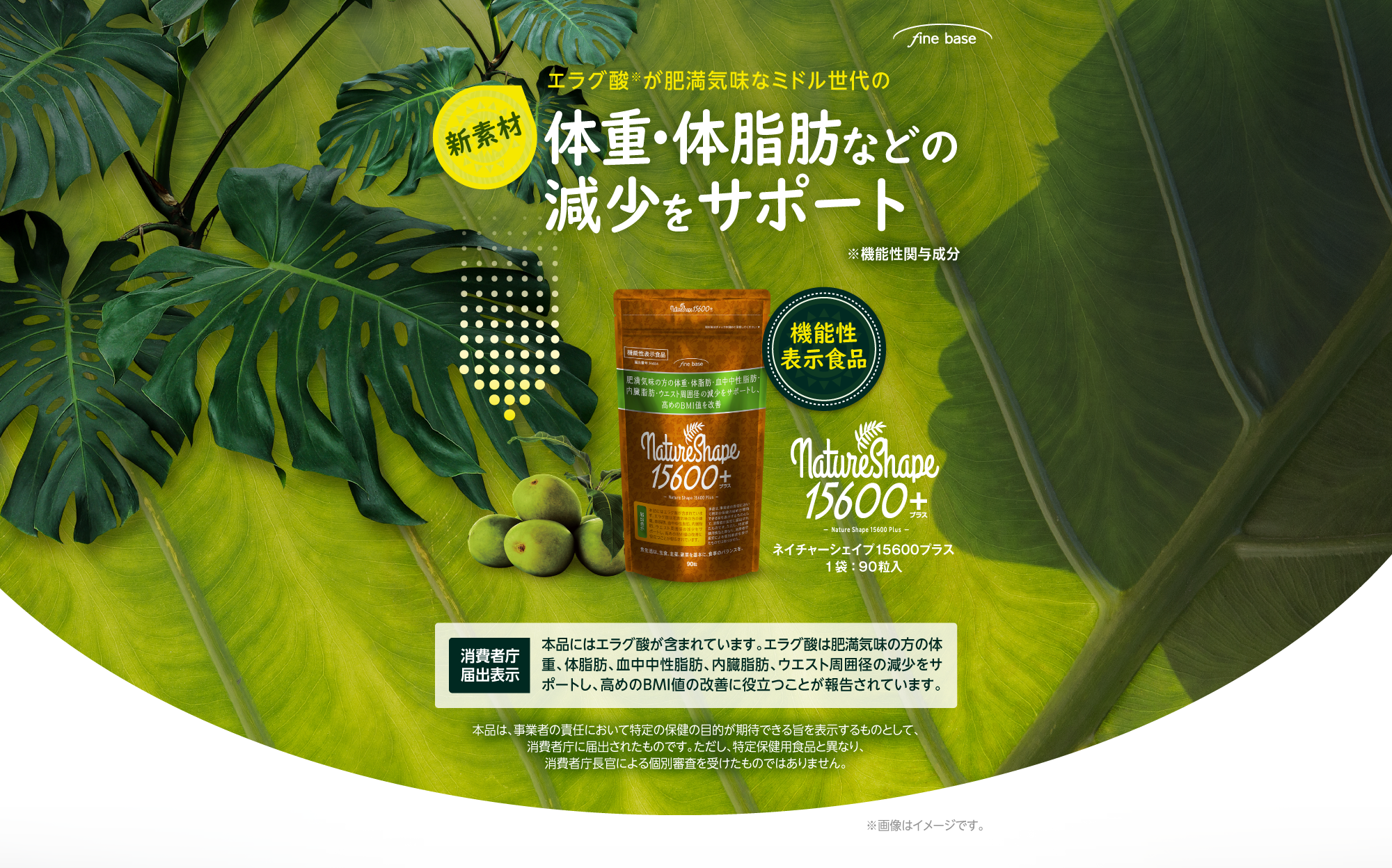 ネイチャーシェイプ15600 | ファインベース【公式】オン ライン