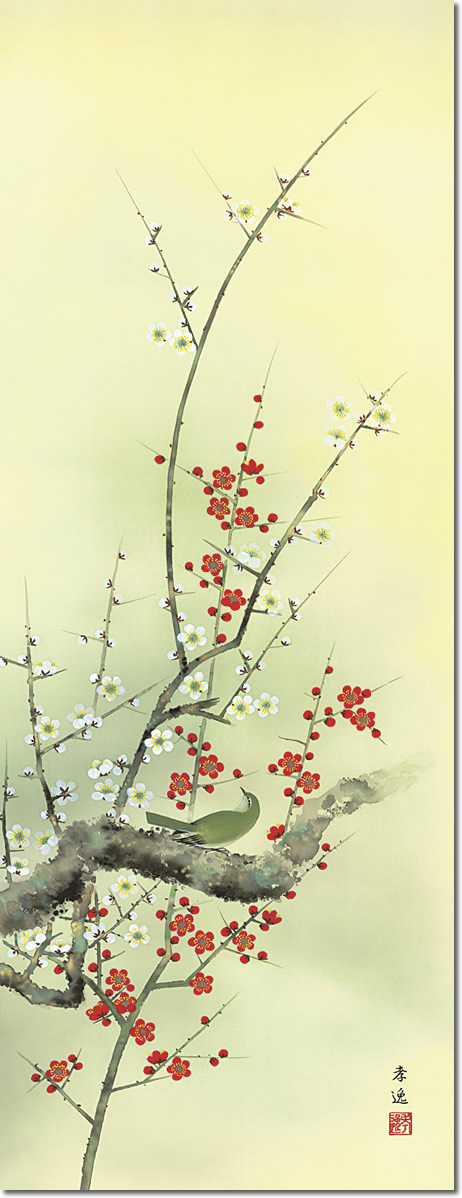 掛け軸-紅白梅に鶯／根本孝逸（尺五・桐箱・風鎮付き・緞子）花鳥画
