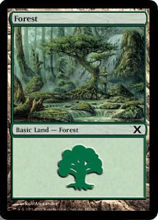 Foil】(382)《森/Forest》[10ED] 土地 | 日本最大級 MTG通販サイト