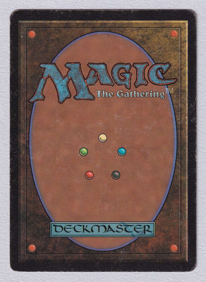 Tropical Island》[LEB] 土地R | 日本最大級 MTG通販サイト「晴れる屋」