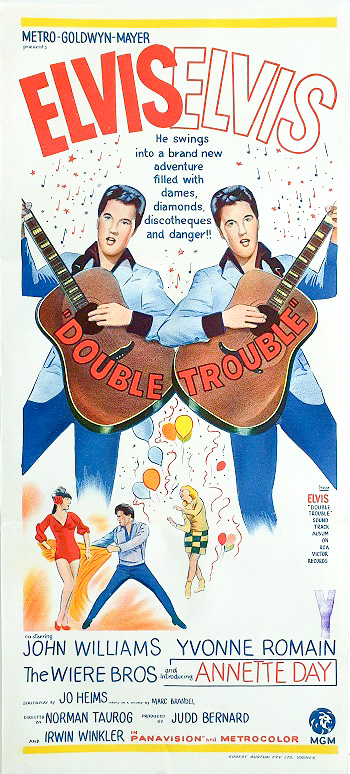 Double Trouble : The Film Poster Gallery