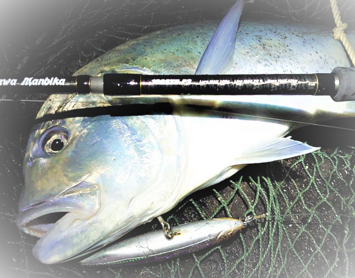 テイルウォーク オキナワマンビカ 100SSXH キャスティング ロック