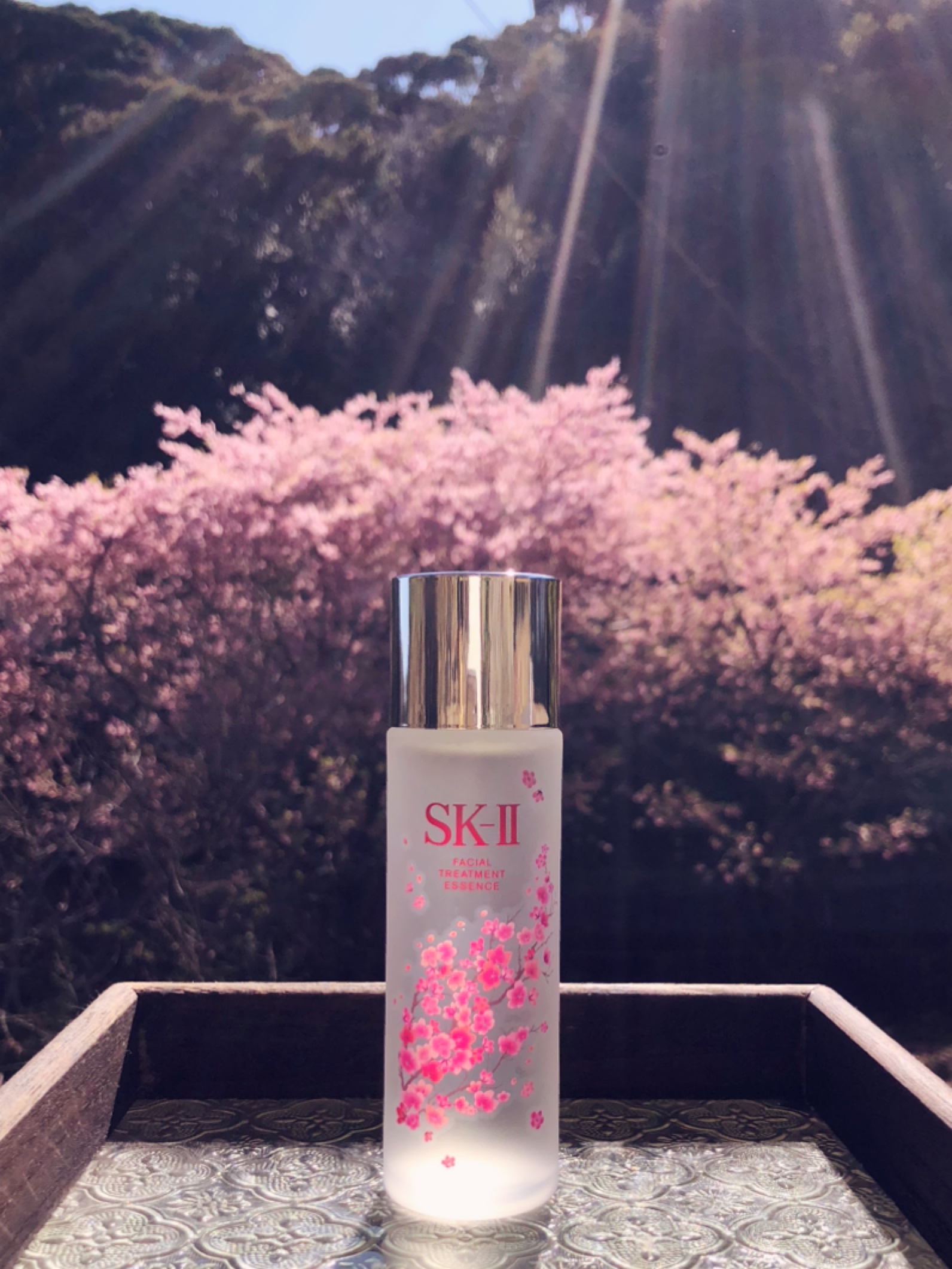 SK-II / フェイシャル トリートメント エッセンス 2025年桜デザイン