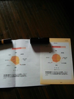 エスト / ホワイトニングエフェクト マイクロムースの公式商品情報