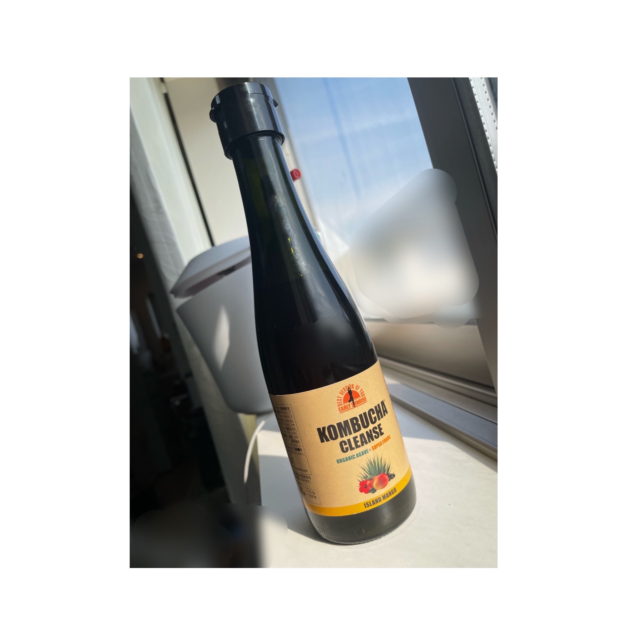 アーリーサンライズ(Early Sunrise) / コンブチャクレンズの公式商品