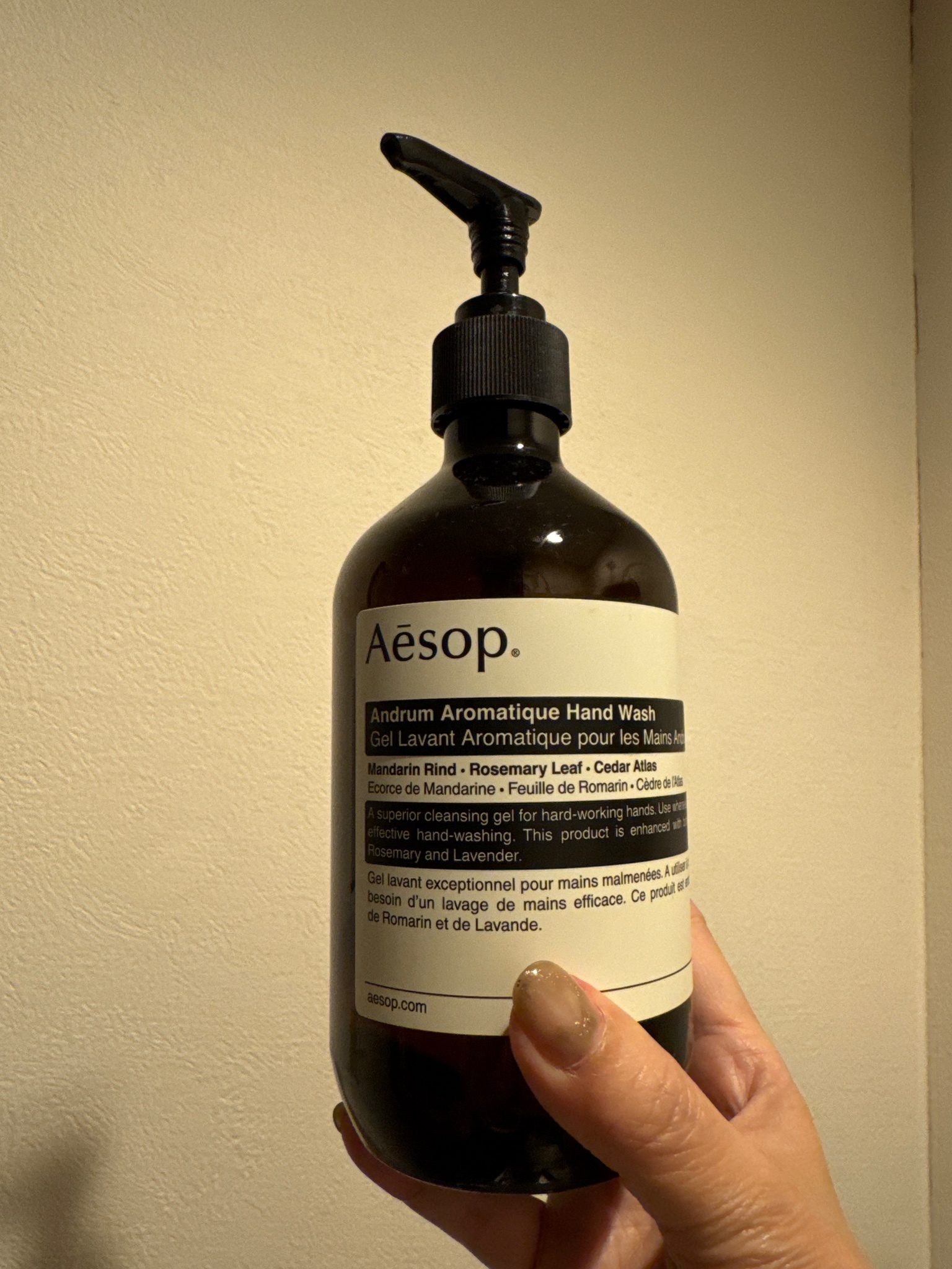 Aesop(イソップ) / アンドラム アロマティック ハンドウォッシュの公式