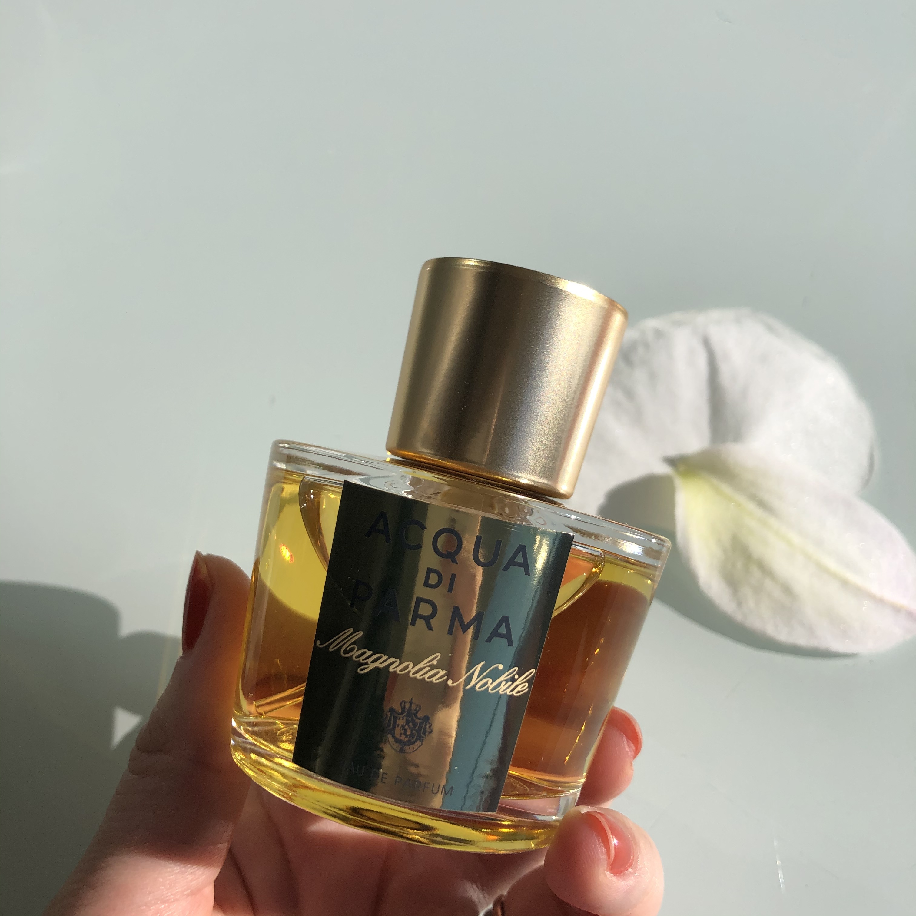 アクア ディ パルマ / マグノリア ノービレ オーデパルファムの公式