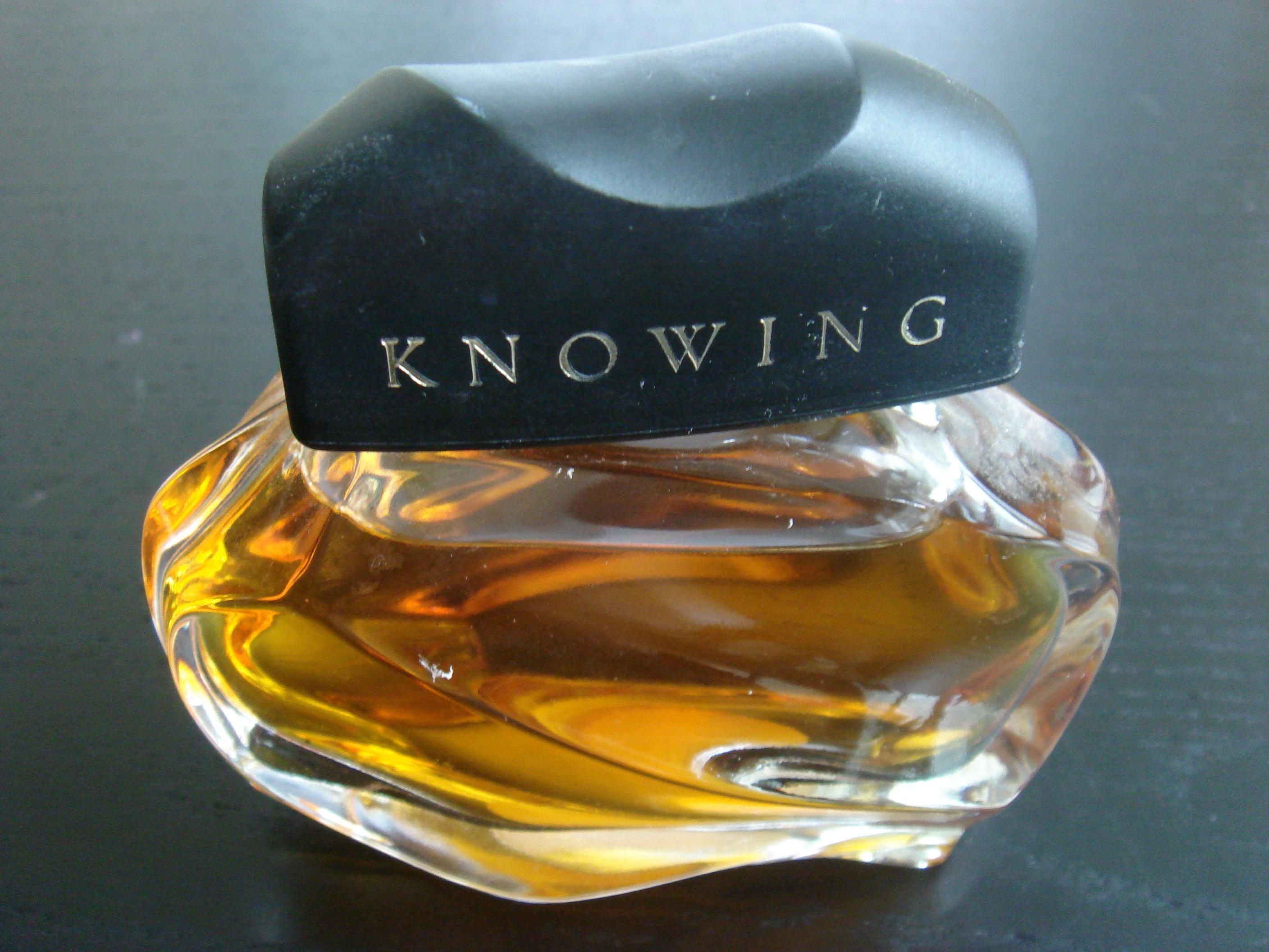 エスティ ローダー / ノゥイングの口コミ一覧｜美容・化粧品情報は