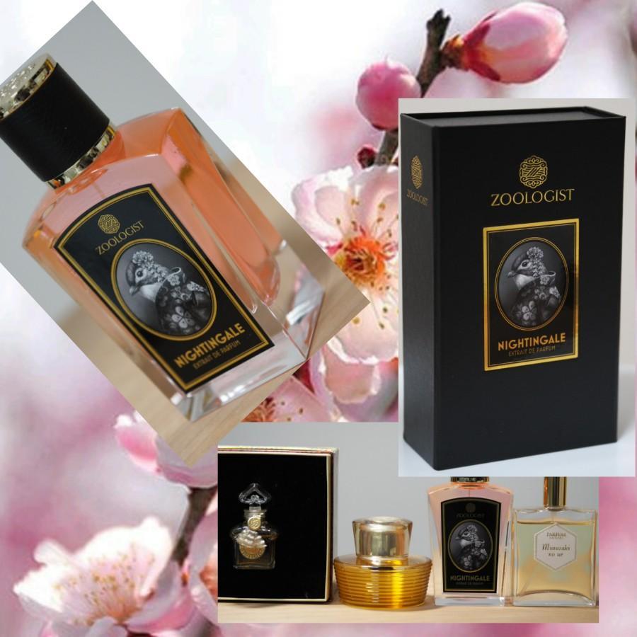 Zoologist Nightingale、ロンド形式のようにつながる香りたち、そして