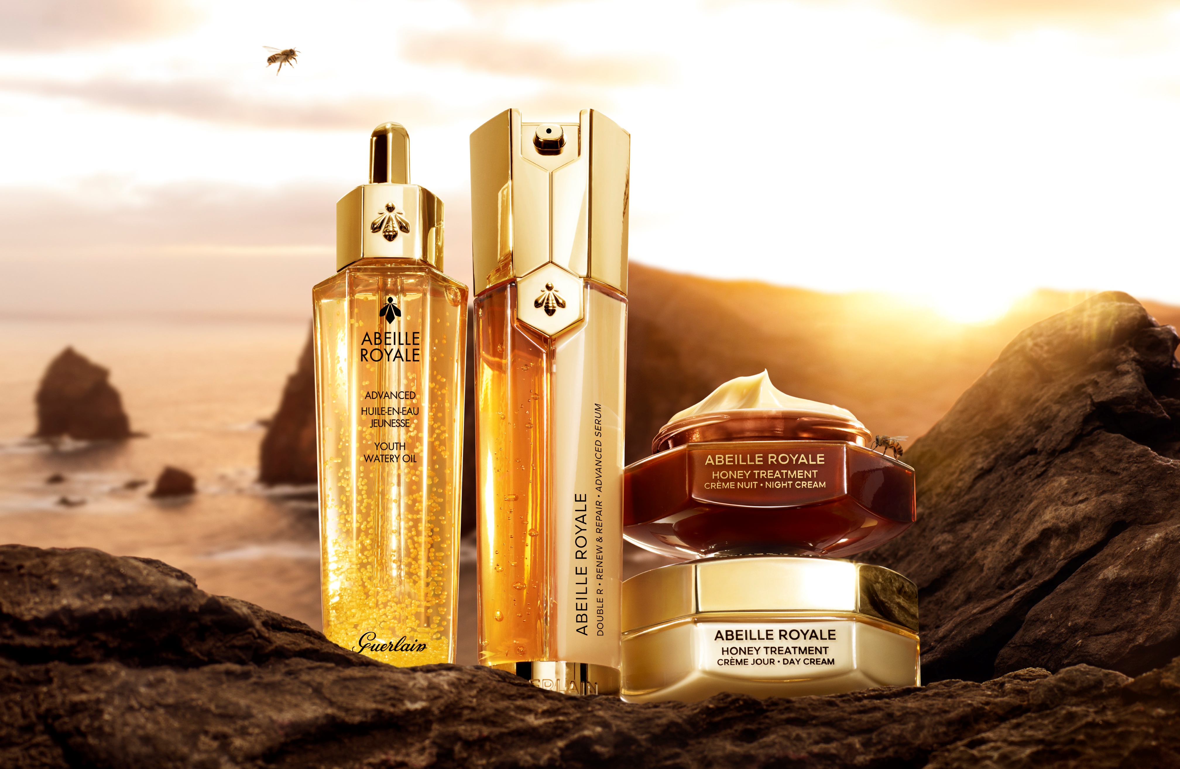 56b5e7496bd24913b8b770e81fe0dd