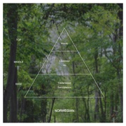 abSalon (アブサロン) / SPRING SLEEP FRAGRANCE NORWEGIAN 