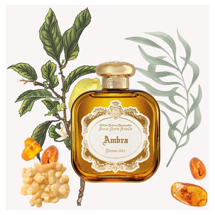 サンタ・マリア・ノヴェッラ / オードパルファム アンブラ 50mlの公式