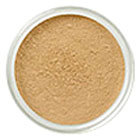 ベアミネラル / コンシーラー サマービスク（SPF20・PA++）の公式商品