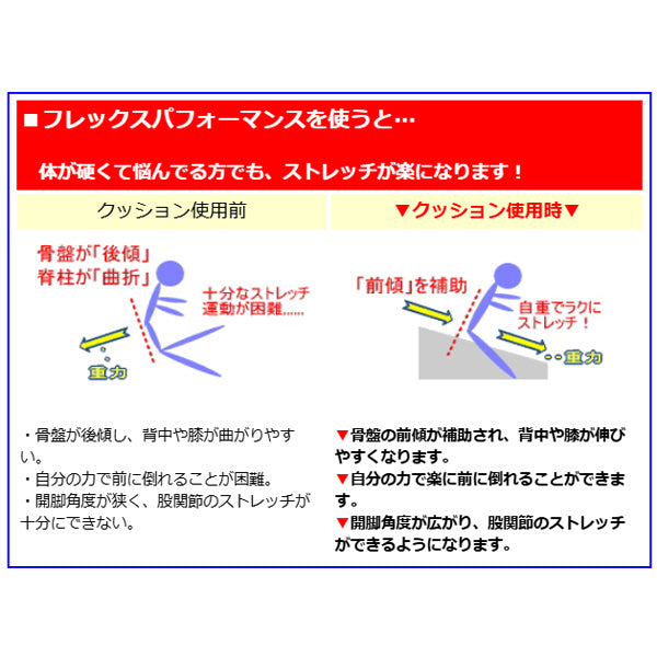フレックスクッション サンテプラス 股割りストレッチ補助 開脚