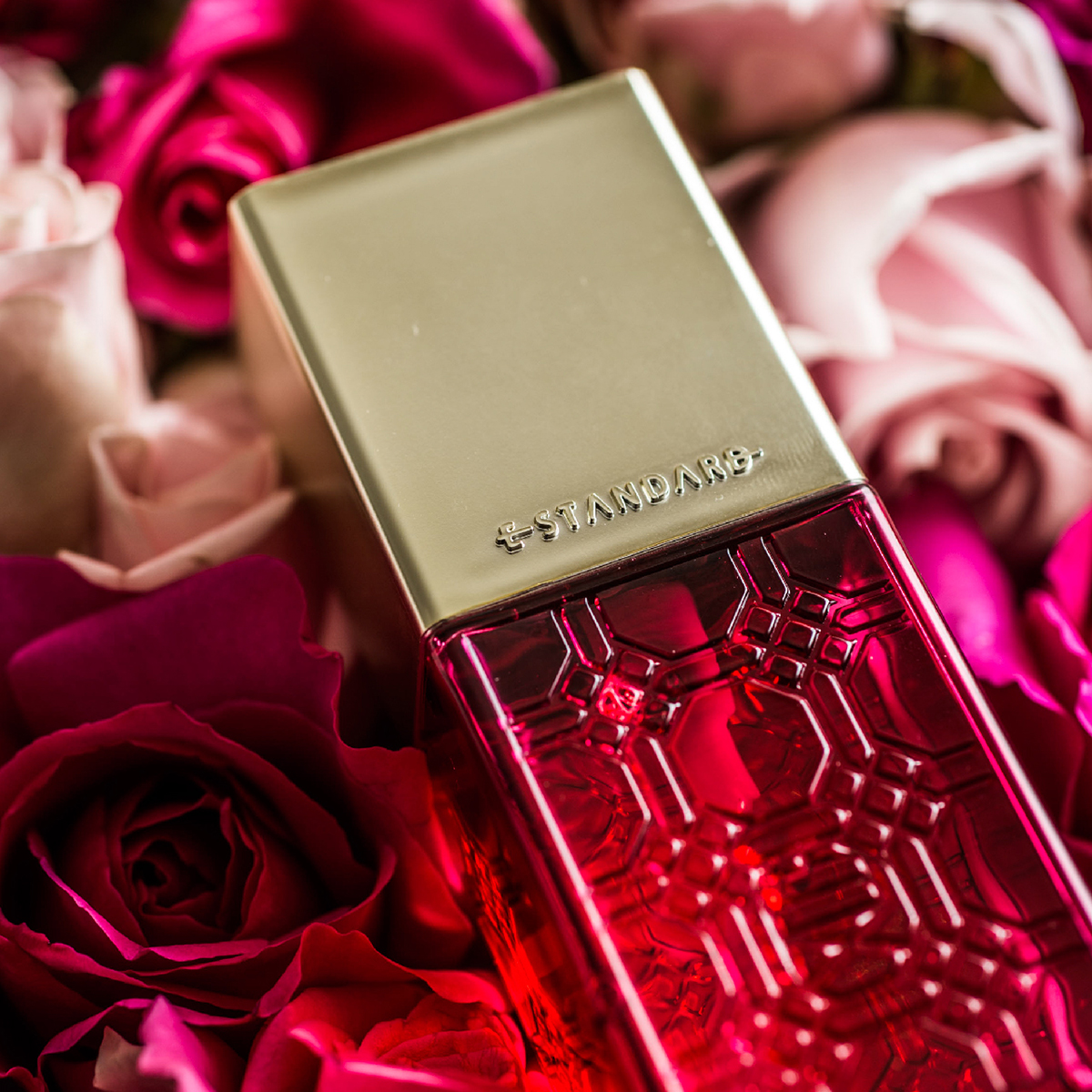 即、いい香りがするモテ髪に☆】｜コラム｜美容室フォルテ(FORTE)|東京