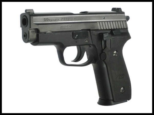 タナカワークス: モデルガン本体 SIG P229 フレームHW EVO2の通販情報