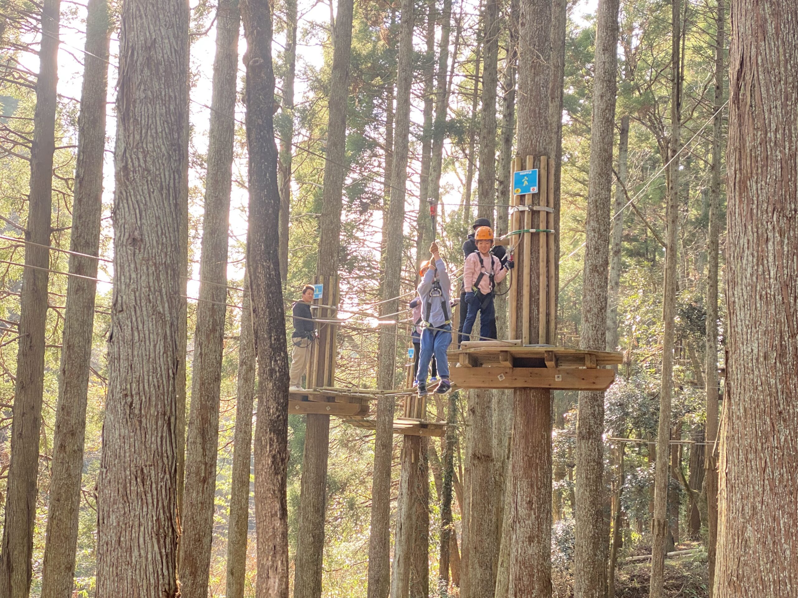 フォレストアドベンチャー・ターザニア | フォレストアドベンチャー