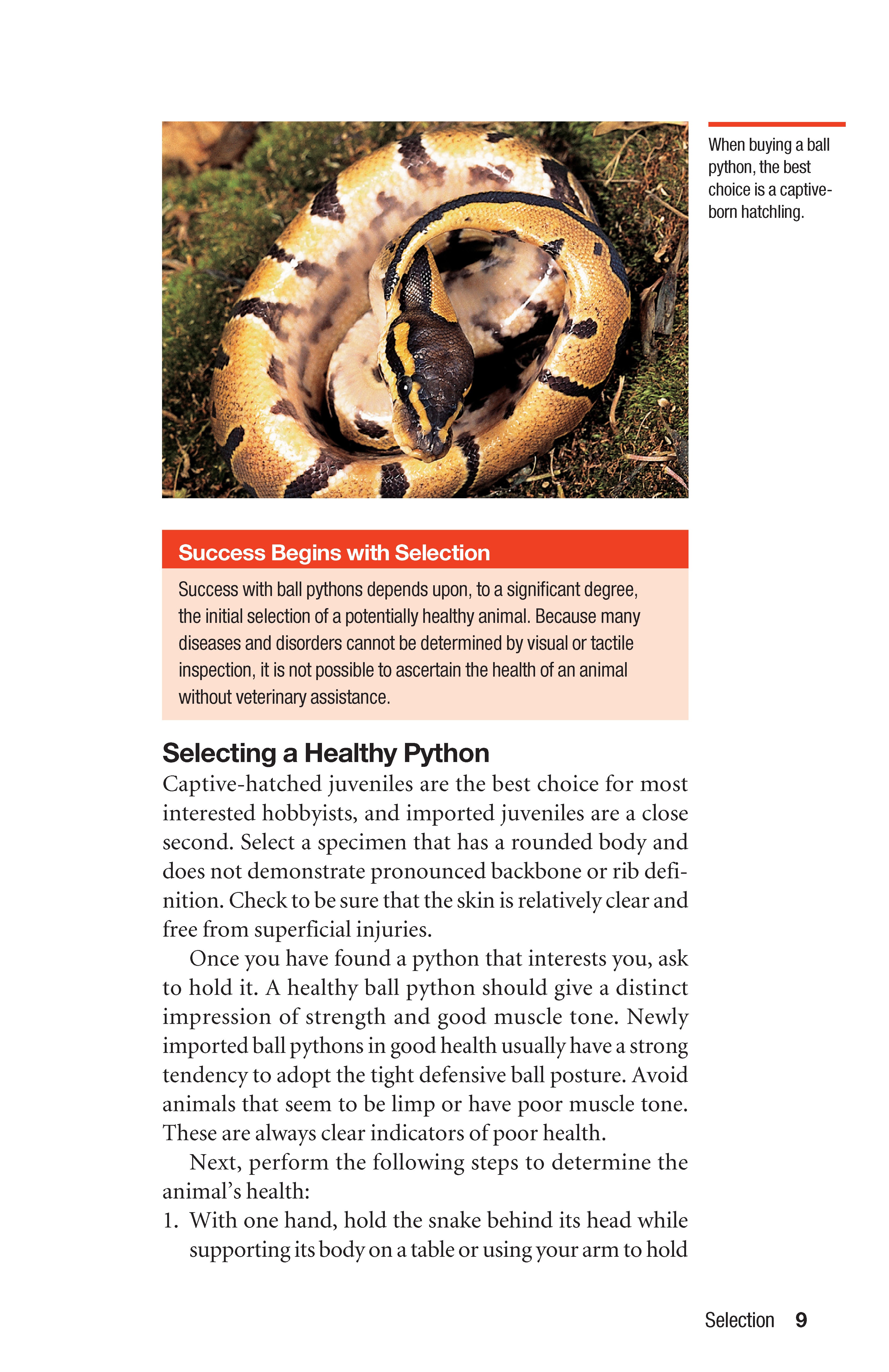 The Ball Python Manual | Fox Chapel Publishing Co.