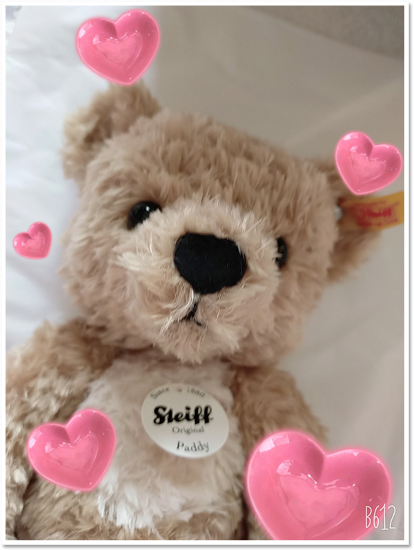 シュタイフ ハリーポッターより ソフトキーリング ドビー 15cm EAN355158