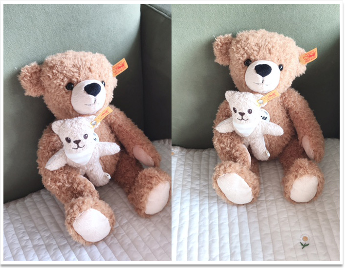 シュタイフ ハイデンベルグフラタニティ ステューデントテディベア