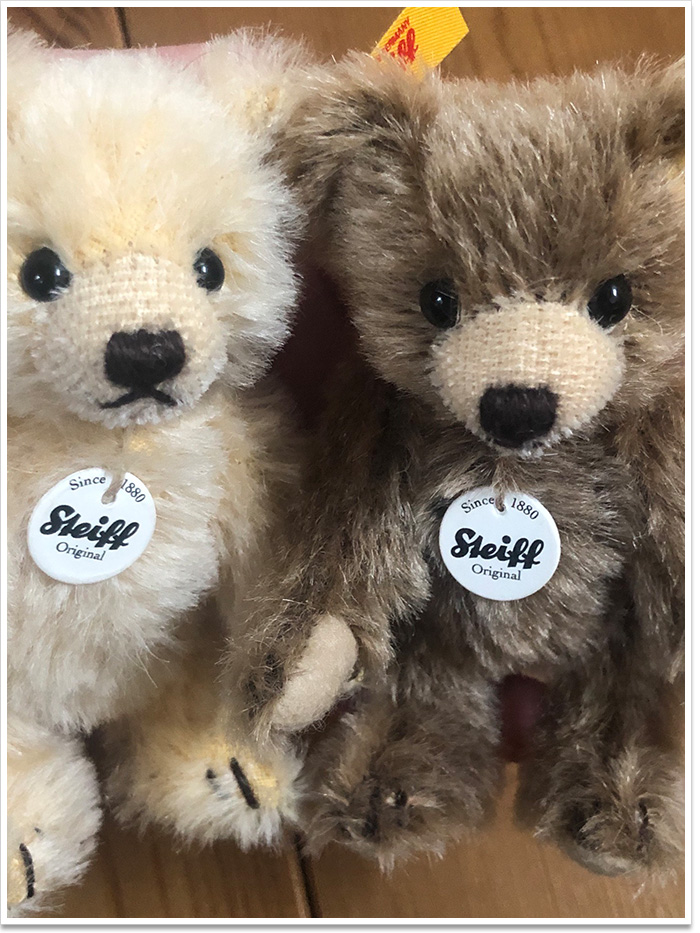 シュタイフ コージーイヤーベア 2026 34cm EAN114175