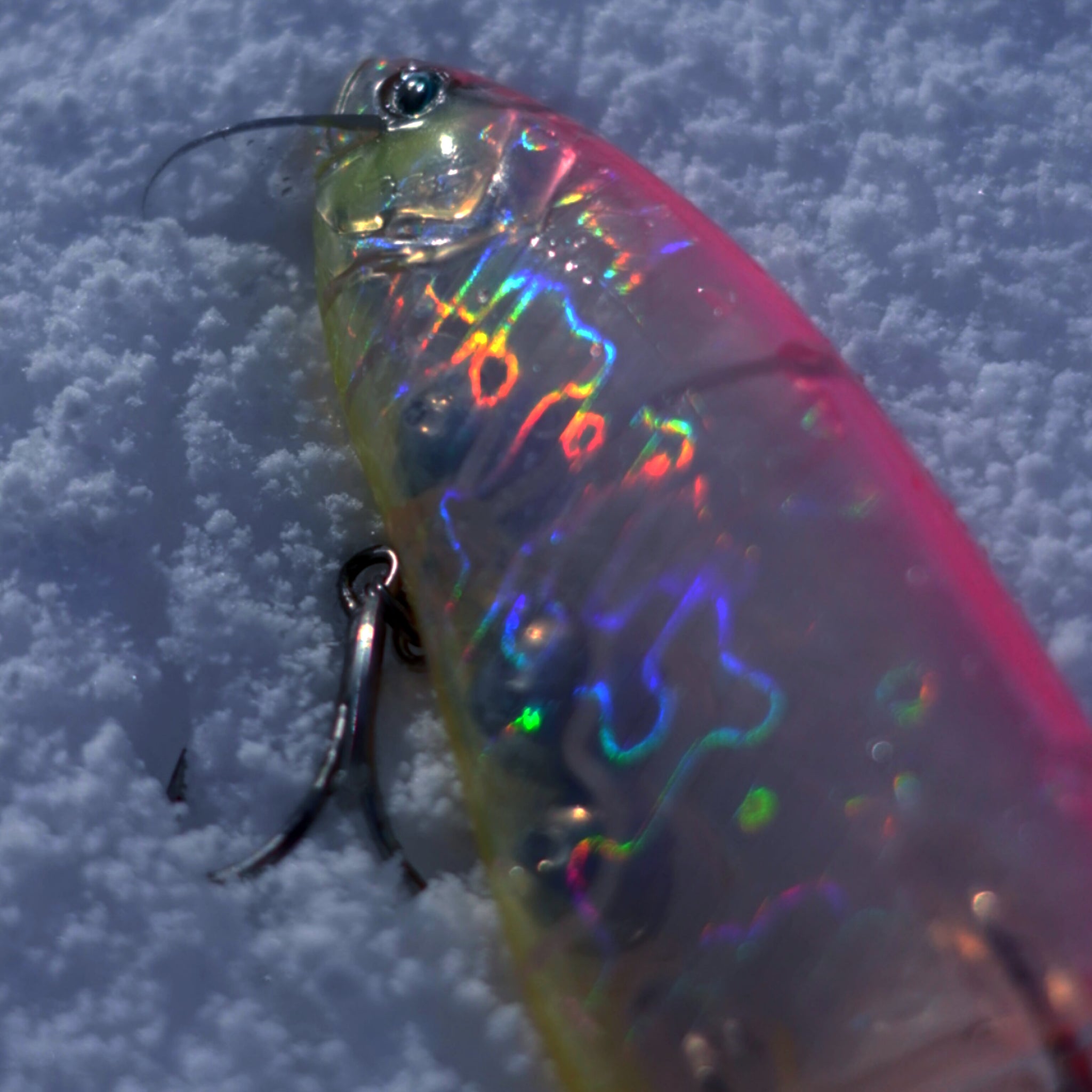 お一人様1個限り】DRT/TINY KLASH HASEGAWAPINK(LO) – FLASHPOINT