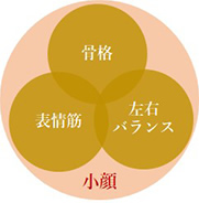 THE FACE - エステサロン向け美容機器・基礎化粧品のフレキシアエステ