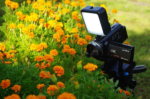 FLIP↗FLOP | ACTITOP 4Kビデオカメラ イワゴーモードでねこを撮る！