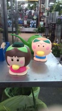 はなかっぱ入りました | 花屋ブログ | 和歌山県和歌山市の花屋