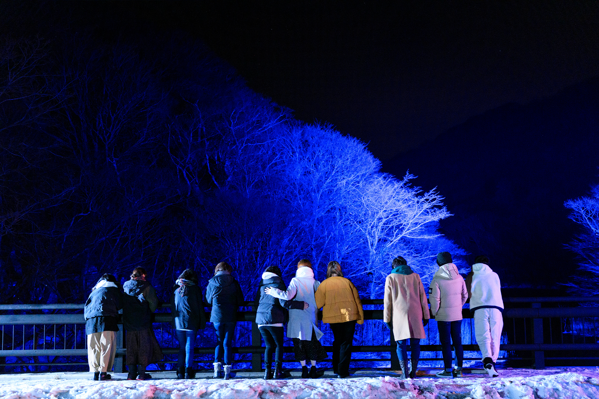 奥入瀬渓流氷瀑ナイトツアー[十和田湖畔発着] Plan003のご予約はこちら