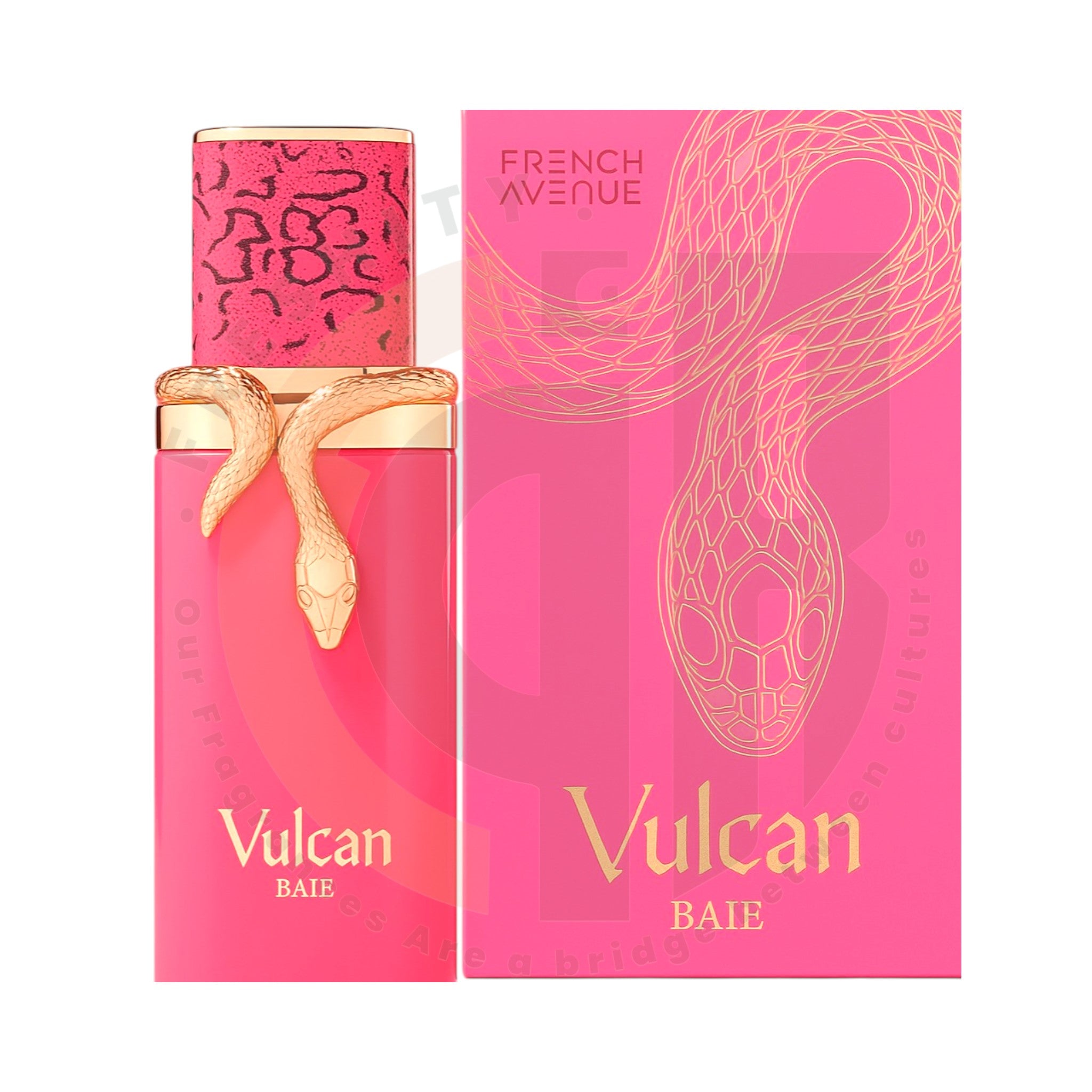 Vulcan Baie 100ml EDP by French Avenue – Bold Fresh – freshitystore