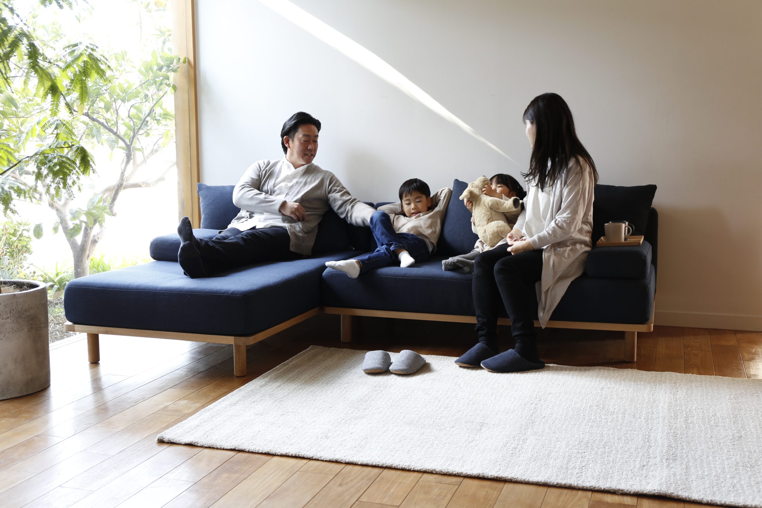 クッションでくつろぐソファ セミワイド - オーナーとペットの境界の