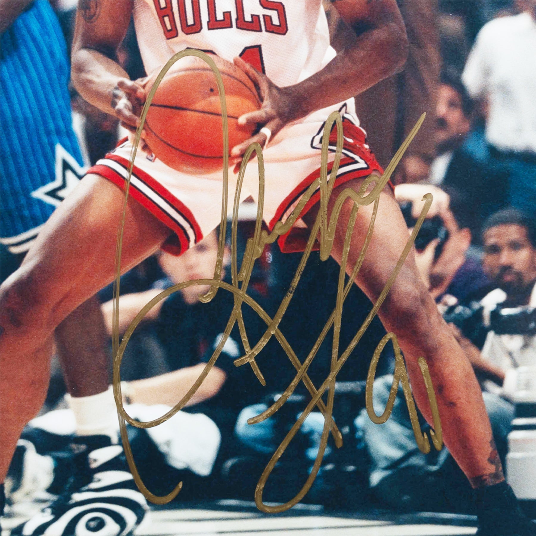 デニス・ロッドマン - ファンコレクションズ