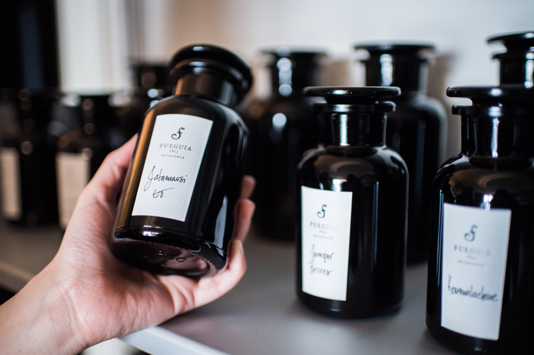 FUEGUIA 1833 | Bitácora de Composición - I-XXIV｜ビタコラ デ コン