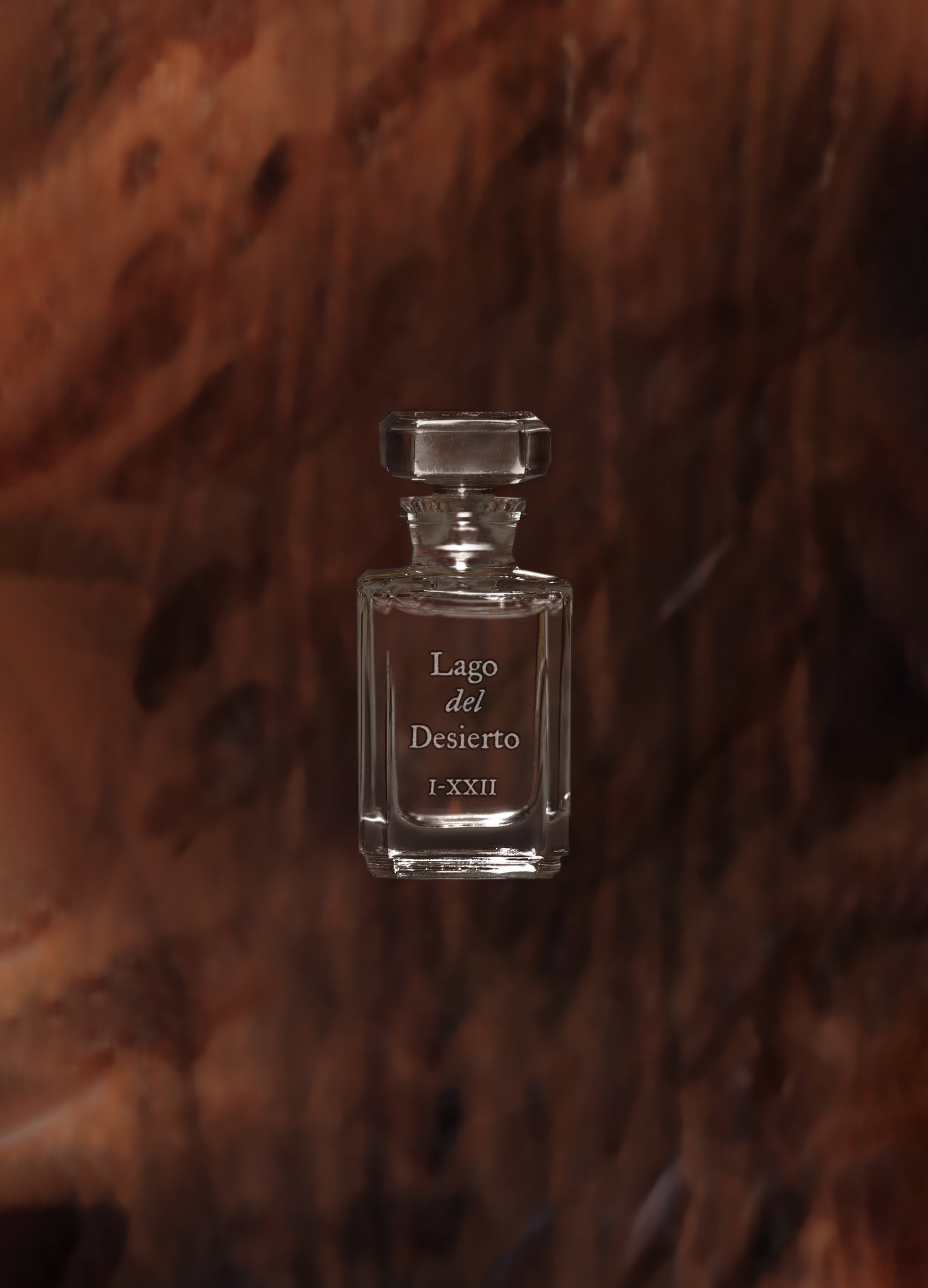 FUEGUIA 1833 | Lago del Desierto｜ラゴ デル デシエルト – FUEGUIA