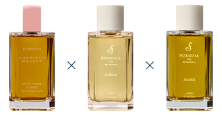 FUEGUIA 1833 | Composition | Autum in New York – FUEGUIA 1833