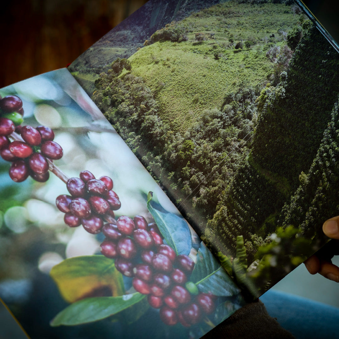 写真集 [Beber Mi Sudor] by Jake Green - FUGLEN COFFEE ROASTERS TOKYO